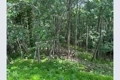 Tbd Woodview Drive, West Jefferson, NC 28694 - Photo 2