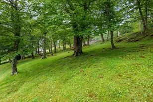 211 Oz Rd, Beech Mountain, NC 28604 - Photo 40