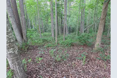 Tbd W Meadow Parkway, Moravian Falls, NC 28654 - Photo 8
