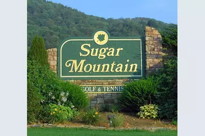 163 Rock Ledge Lane, Sugar Mountain, NC 28604 - Photo 48
