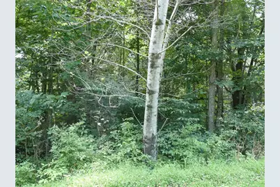 Lot 17 Farm Loop Road, Banner Elk, NC 28604 - Photo 4
