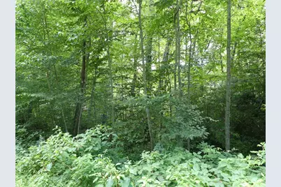 Lot 17 Farm Loop Road, Banner Elk, NC 28604 - Photo 4