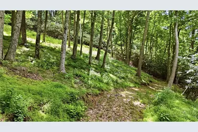 176 Ravens View, Boone, NC 28607 - Photo 38