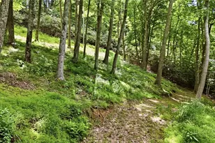 176 Ravens View, Boone, NC 28607 - Photo 38