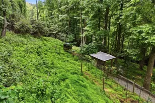 176 Ravens View, Boone, NC 28607 - Photo 34