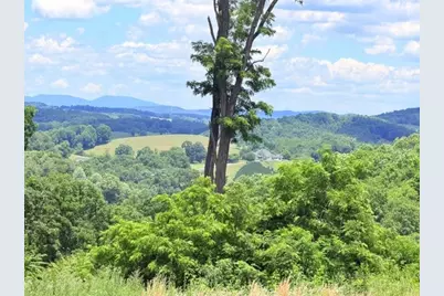 Tbd (3.28 Acres) Cox Road, Jefferson, NC 28640 - Photo 4