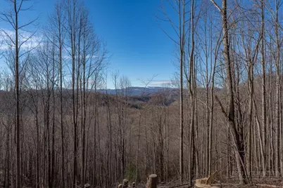 Tbd N US Hwy 421, Zionville, NC 28698 - Photo 4