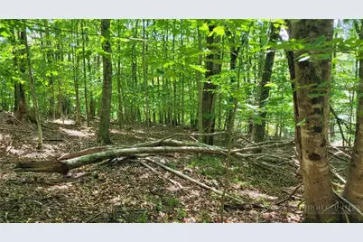 215 Overbrook Trail, Beech Mountain, NC 28604 - Photo 4