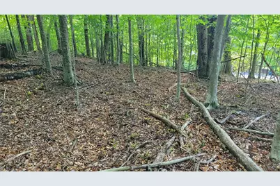 215 Overbrook Trail, Beech Mountain, NC 28604 - Photo 2