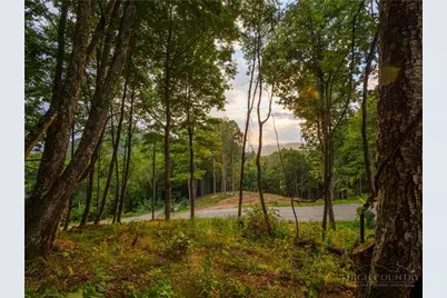 C120 Springwater Lane, Banner Elk, NC 28604 - Photo 8