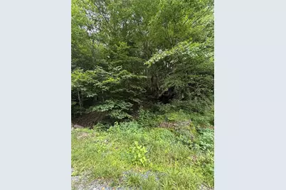 Tbd Johns Mountain Road, Vilas, NC 28692 - Photo 4