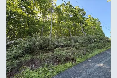 Tbd Indian Lake Drive, West Jefferson, NC 28694 - Photo 2