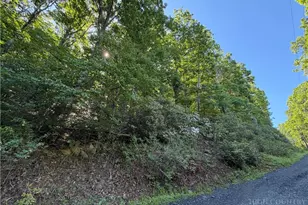 Tbd Indian Lake Dr, West Jefferson, NC 28694 - Photo 1