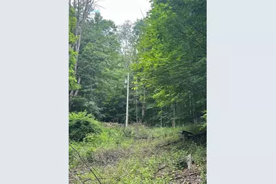 Tbd Chestnut Grove Road, Boone, NC 28607 - Photo 2