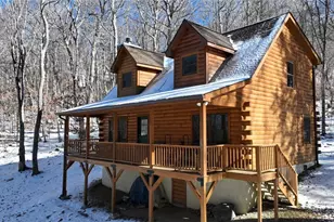 121 Whipporwill Way, Beech Mountain, NC 28604 - Photo 44