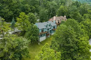218 Slope View Rd, Sugar Mountain, NC 28604 - Photo 38