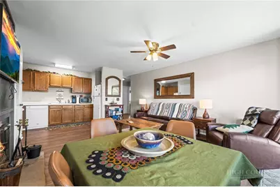 301 Pinnacle Inn Road #1313, Beech Mountain, NC 28604 - Photo 6