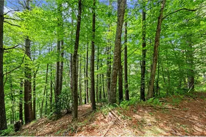 281 New River Farms Road, Fleetwood, NC 28626 - Photo 40