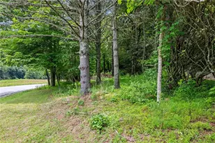 281 New Riv Farms Rd, Fleetwood, NC 28626 - Photo 38