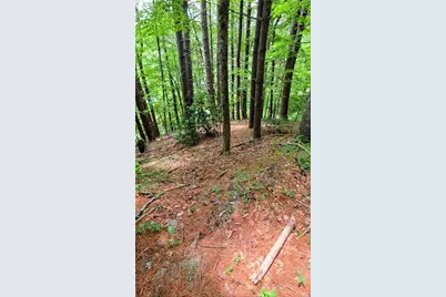 Tbd New River Farms Road, Fleetwood, NC 28626 - Photo 2