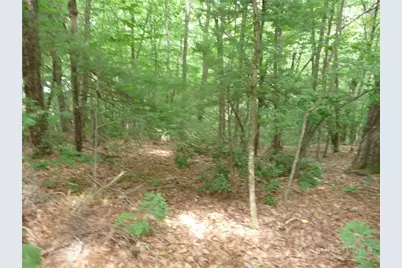 360 Kenmure Drive, Hendersonville, NC 28731 - Photo 12