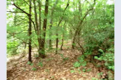 360 Kenmure Drive, Hendersonville, NC 28731 - Photo 2