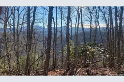 223 Rubin Walker Road, Vilas, NC 28692 - Photo 6