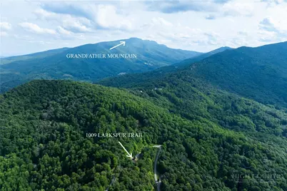 1009 Larkspur Trail, Banner Elk, NC 28604 - Photo 48