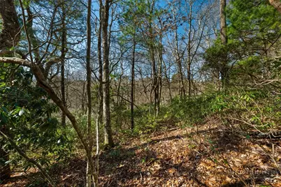 Lot 61 Boone Coffey Trail, Boone, NC 28607 - Photo 8