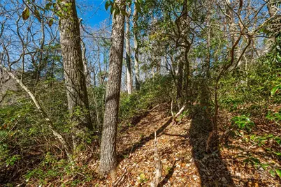 Lot 61 Boone Coffey Trail, Boone, NC 28607 - Photo 10