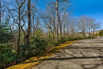 Lot 61 Boone Coffey Trail, Boone, NC 28607 - Photo 6