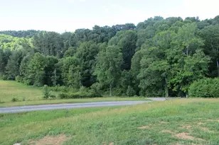 287 Cora Ln, Jefferson, NC 28640 - Photo 8