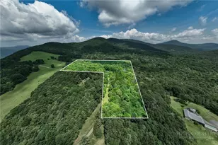 336 Misty Meadow Ln, Boone, NC 28607 - Photo 48