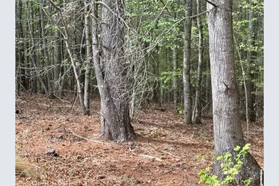 Lot 161/162 Rocky Falls Lane, Lenoir, NC 28645 - Photo 10