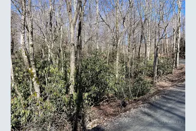 252 Greenbriar Road, Beech Mountain, NC 28604 - Photo 4