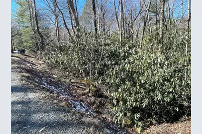 252 Greenbriar Road, Beech Mountain, NC 28604 - Photo 6