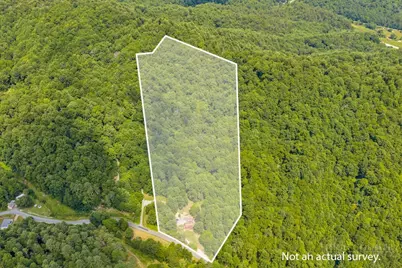 488 Wards Branch Road, Sugar Grove, NC 28679 - Photo 2