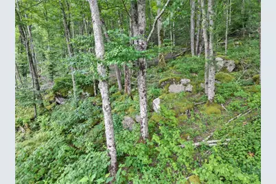 Es16 Eagle Feather Trail, Banner Elk, NC 28604 - Photo 8