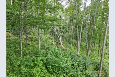 Es16 Eagle Feather Trail, Banner Elk, NC 28604 - Photo 6