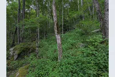 Es16 Eagle Feather Trail, Banner Elk, NC 28604 - Photo 12