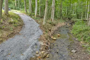 2281 Old Hwy 16, Jefferson, NC 28640 - Photo 36