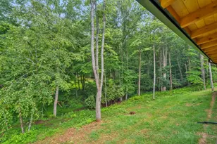 116 Coyote Trail, Boone, NC 28607 - Photo 44