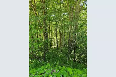 Tbd Silverleaf Road, Zionville, NC 28698 - Photo 22