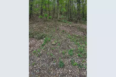 Tbd Silverleaf Road, Zionville, NC 28698 - Photo 20