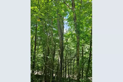 Tbd Silverleaf Road, Zionville, NC 28698 - Photo 28