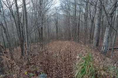 Lot 33 Larkspur Trail, Banner Elk, NC 28604 - Photo 12