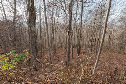 Lot 33 Larkspur Trail, Banner Elk, NC 28604 - Photo 10