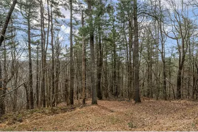 276 Storie Road, Boone, NC 28607 - Photo 46