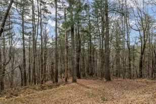 276 Storie Rd, Boone, NC 28607 - Photo 44