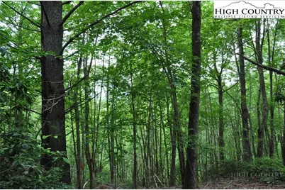 Lot 3 Sec 11 Talons Drive, Boone, NC 28607 - Photo 10